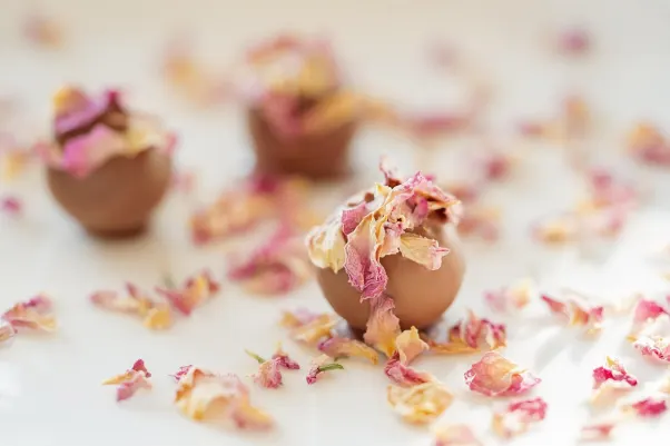 Cresus Casino Android/iOS rakendus